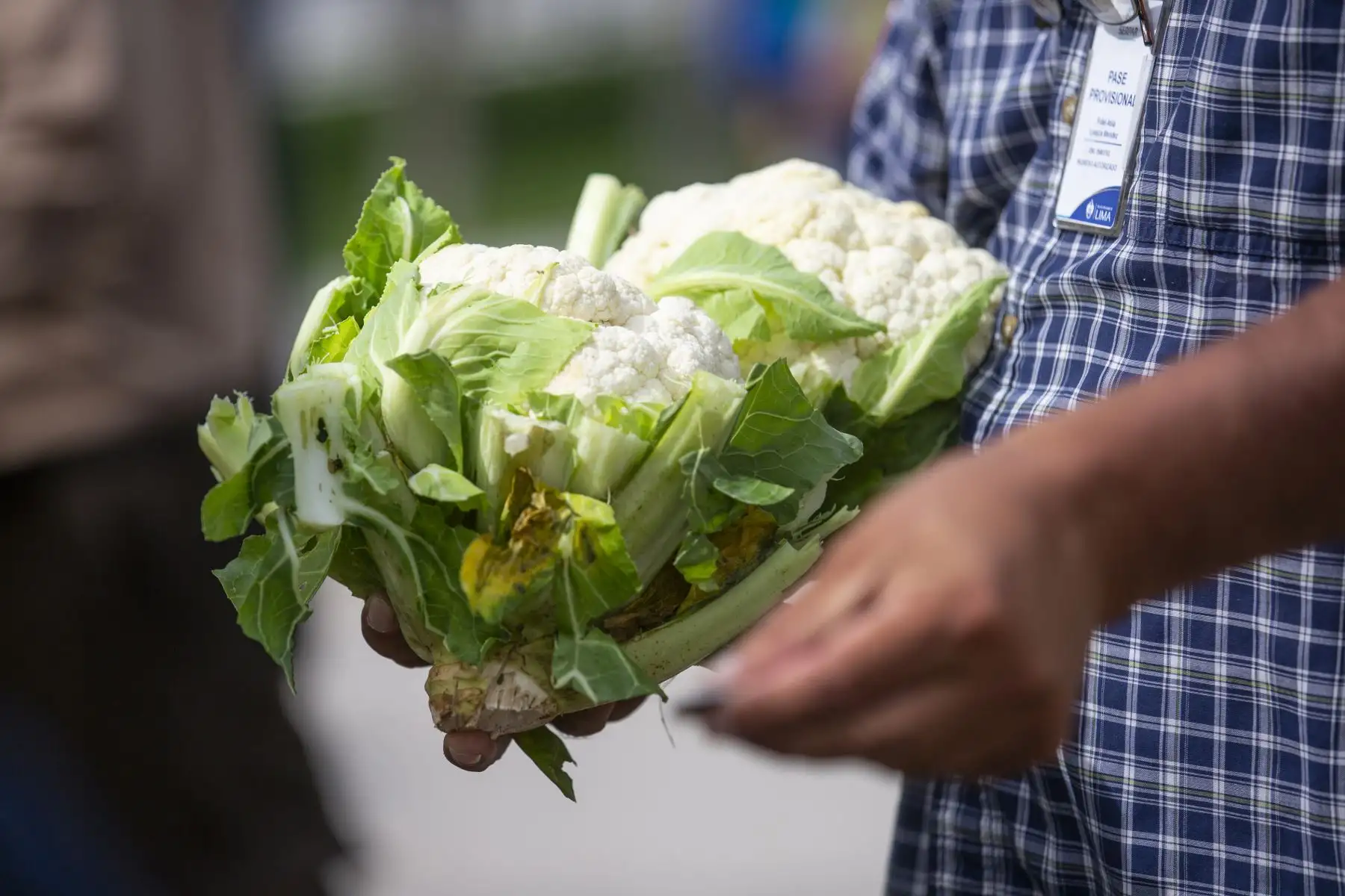 El mercado mayorista móvil de la Municipalidad de Lima llega a Club Zonal Huáscar en Villa El Salvador, donde los vecinos pueden comprar productos de primera necesidad a bajos precios. Foto: MML