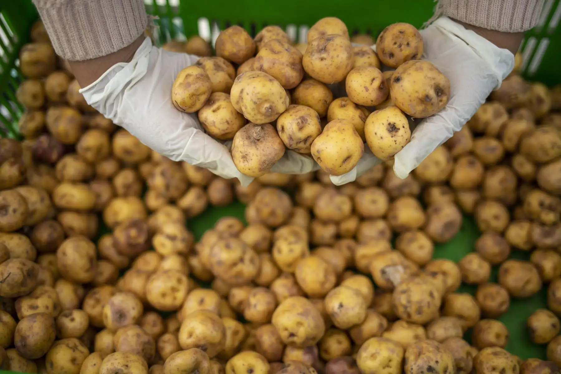 El mercado mayorista móvil de la Municipalidad de Lima llega a Club Zonal Huáscar en Villa El Salvador, donde los vecinos pueden comprar productos de primera necesidad a bajos precios. Foto: MML