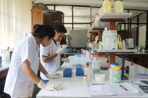 La RED IDi propicia la integración activa entre las universidades y el sector productivo del país. ANDINA/Difusión
