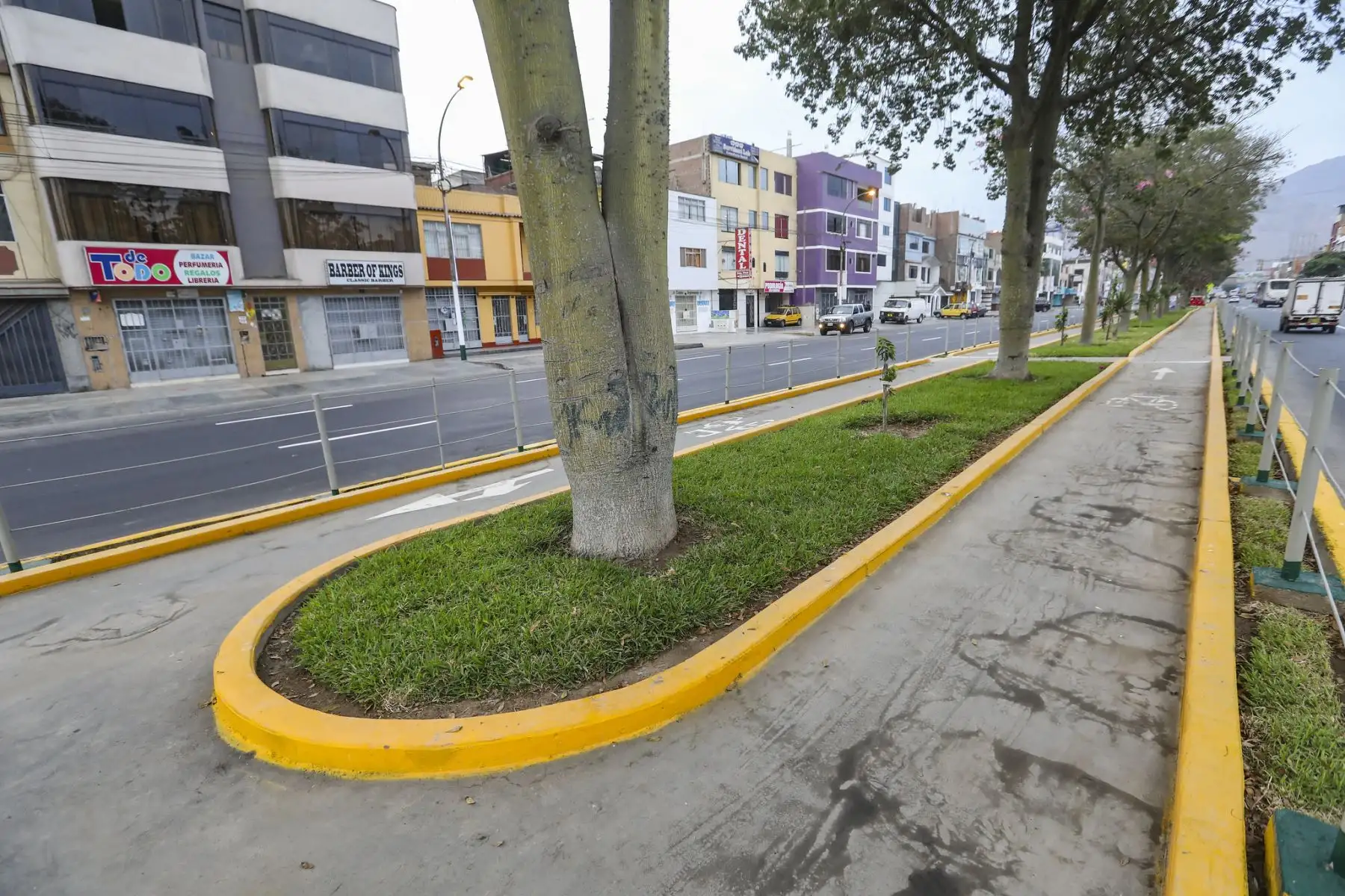 Alcalde Jorge Muñoz inaugura ciclovía de Avenida Los Jardines en San Juan de Lurigancho.

Foto: ANDINA/Municipalidad de Lima