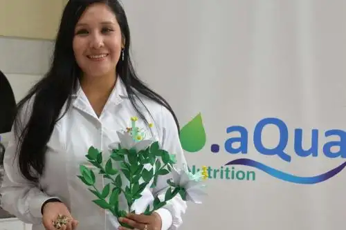 La moringa es un floculante y coagulante natural. Hace que precipite todas las impurezas y también mata los microorganismos patógenos.