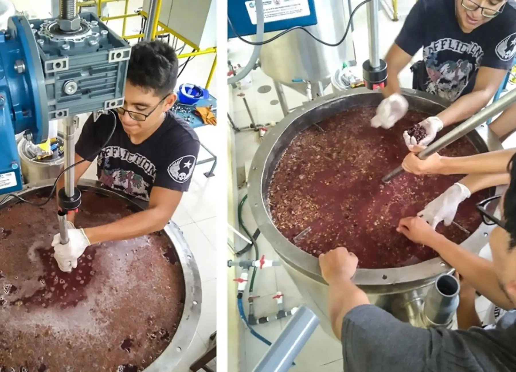 Investigadores de la UNI desarrollan un estudio que busca optimizar la producción de pisco, nuestra bebida bandera, con desechos de la uva. ANDINA/Difusión