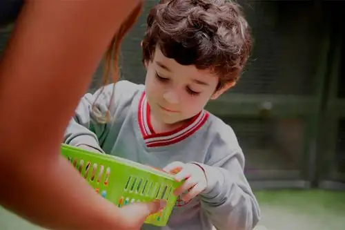 Es trascendental fortalecer el aprendizaje en el hogar y de explorar enfoques innovadores para integrar la educación en la rutina diaria de sus hijos. Foto: ANDINA/Difusión