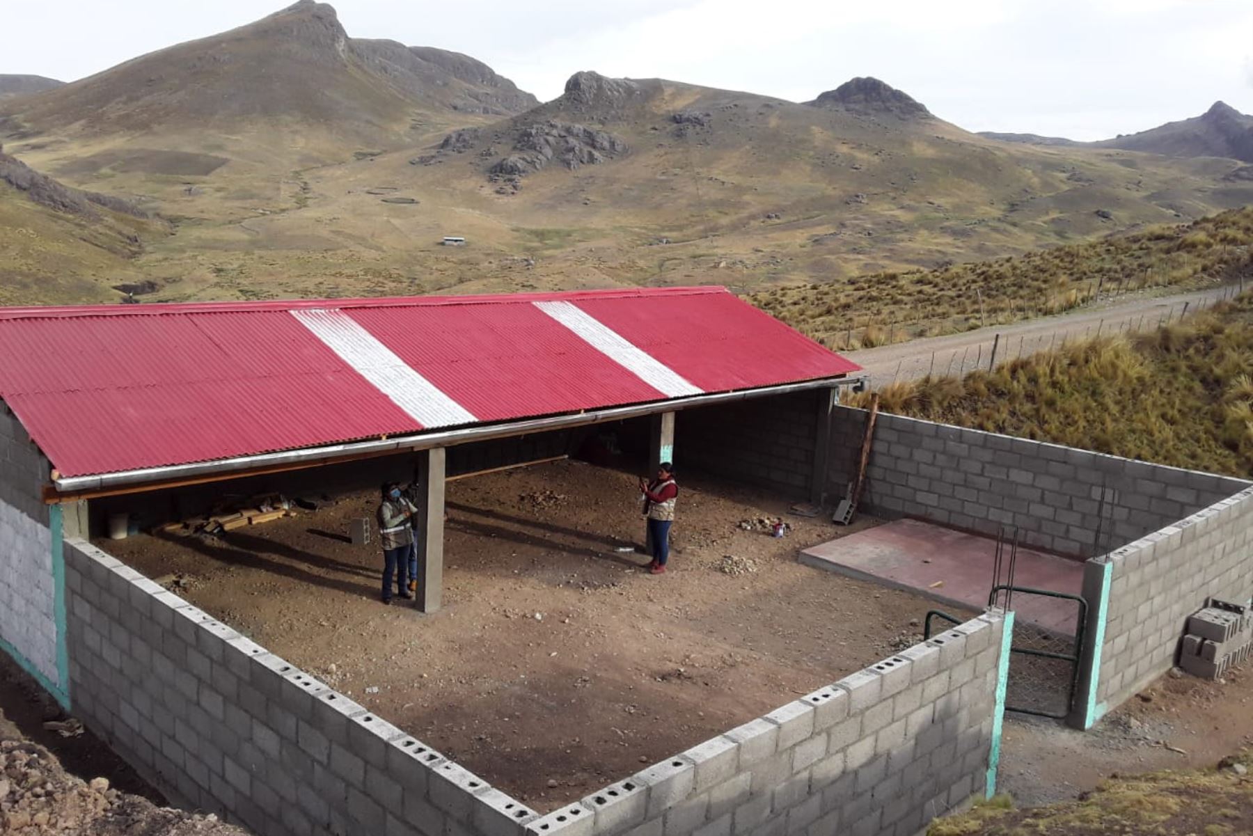 Se protegerán más de 241,700 cabezas de camélidos sudamericanos y ovinos en cobertizos que construye Agro Rural. Foto: ANDINA/Difusión