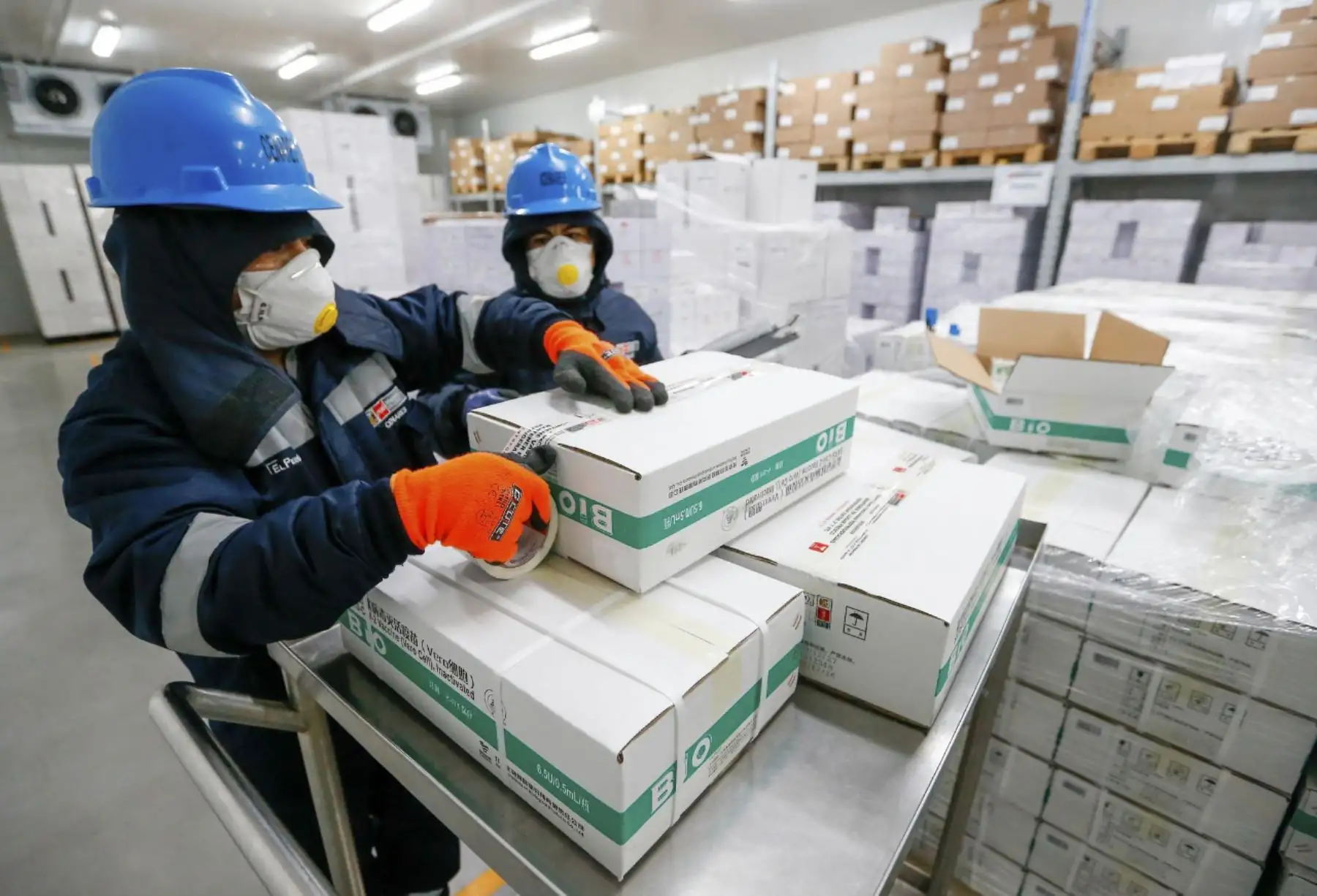 Distribución de las vacunas de Sinopharm hacia las regiones del país. Los primeros 100 días del presidente Francisco Sagasti. Foto: ANDINA