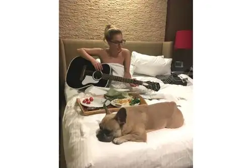 Los bulldogs franceses son una raza codiciada y cara que puede venderse por miles de dólares. Foto: Instagram de Lady Gaga