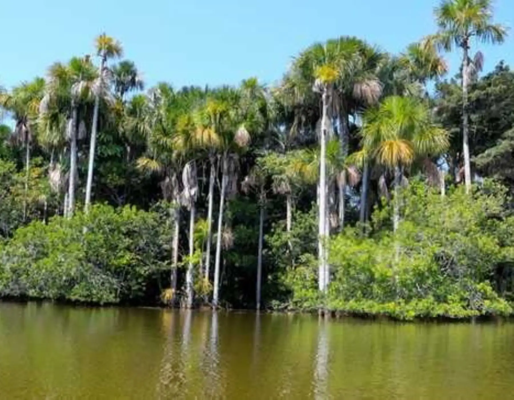 El Minam afirma que la conservación ambiental es clave para asegurar el bienestar de la población. ANDINA/Difusión