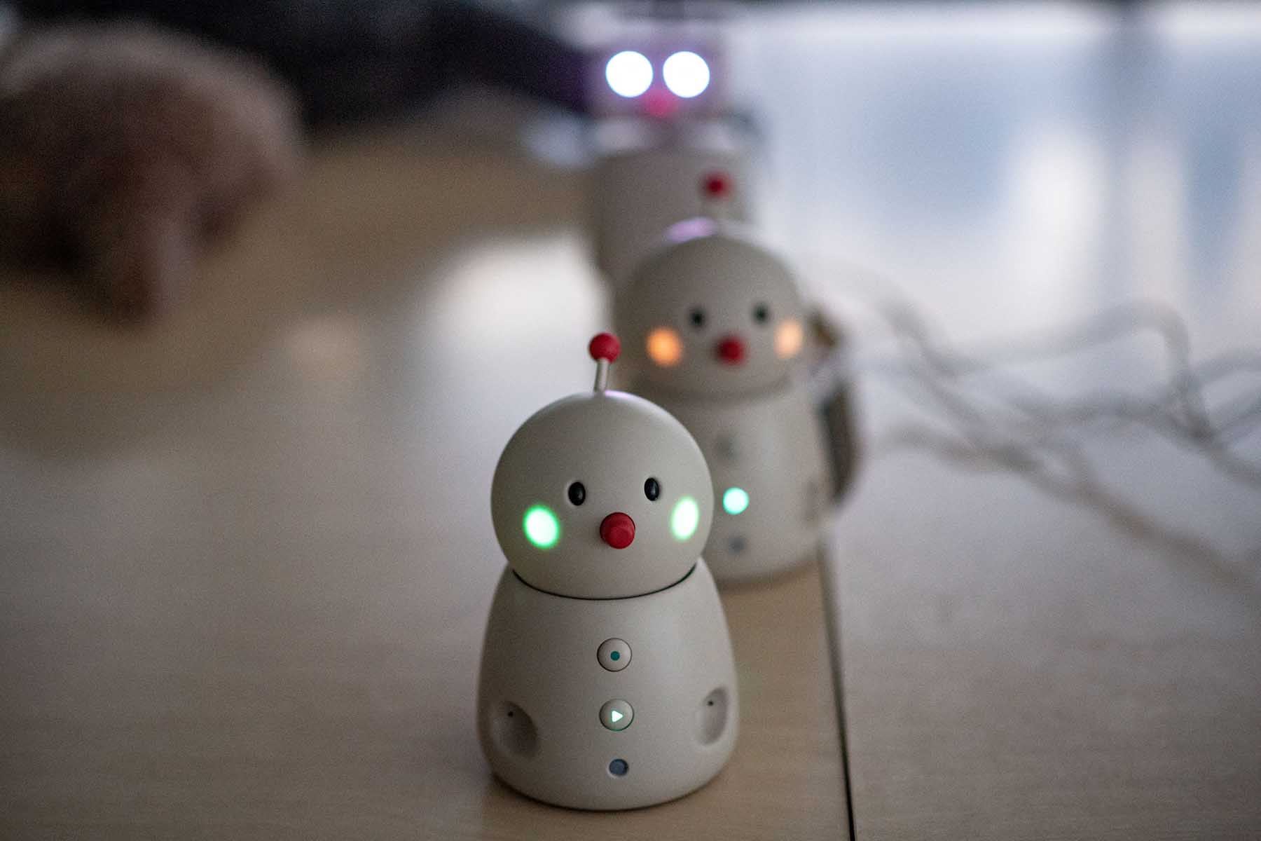 Los estudios han demostrado que los robots para mascotas fabricados en Japón pueden reconfortar a las personas con demencia.  Foto: AFP