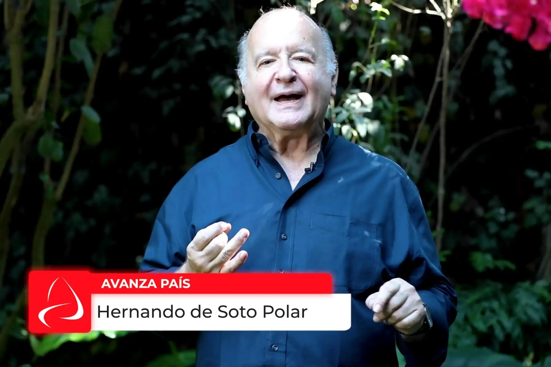 Foto: ANDINA/difusión.