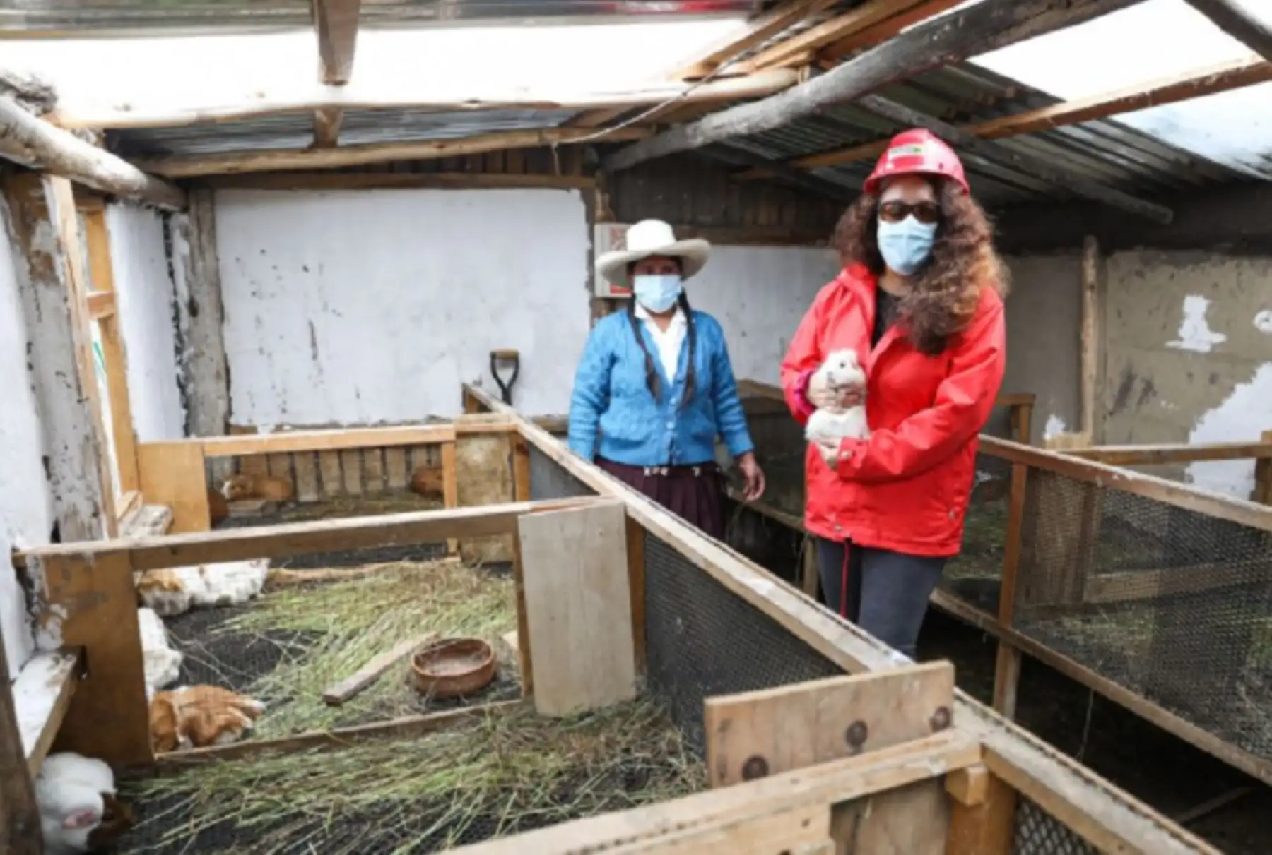 Ministra de Desarrollo e Inclusión Social, Silvana Vargas, visitó el centro poblado Apalín Alto, en el distrito Los Baños del Inca, donde verificó los resultados de la implementación de tecnologías y emprendimientos rurales inclusivos generados por hogares en situación de pobreza, gracias al proyecto Haku Wiñay del Foncodes..