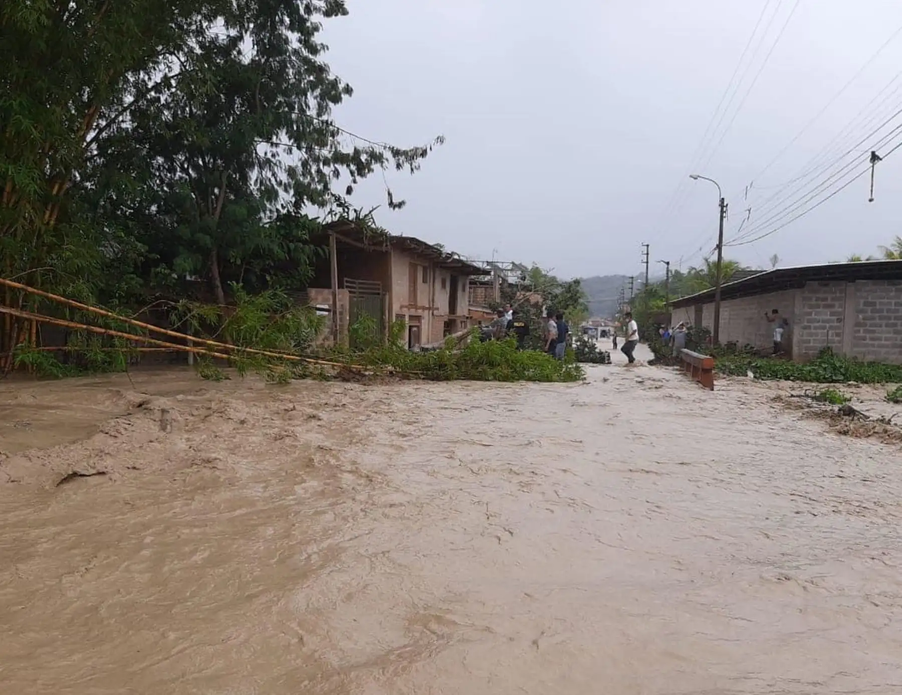 San Martín reportó emergencias por lluvias intensas e inundaciones en diversas provincias. ANDINA/Difusión