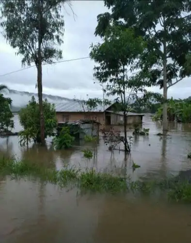 Para hoy se prevén acumulados sobre los 30 milímetros por día en la Selva centro y sobre los 60 milímetros por día en la Selva sur.ANDINA/Difusión