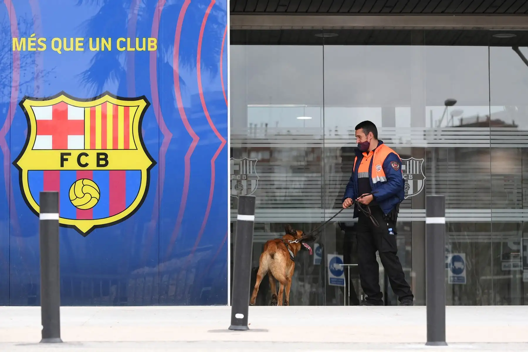 Un guardia de seguridad ingresa a las oficinas del Fútbol Club Barcelona con un perro el 1 de marzo de 2021 en Barcelona durante un operativo policial en el interior del edificio. Foto: AFP