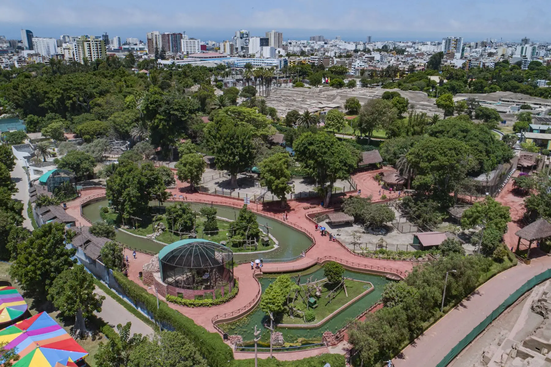 El Parque de las Leyendas vuelve a abrir sus puertas este 1 de marzo. El recinto funcionará con un aforo al 30% y la atención será de lunes a sábado, de 9 a.m. a 5 p.m. Se contará con todos los protocolos de bioseguridad. 
Foto: Municipalidad de Lima