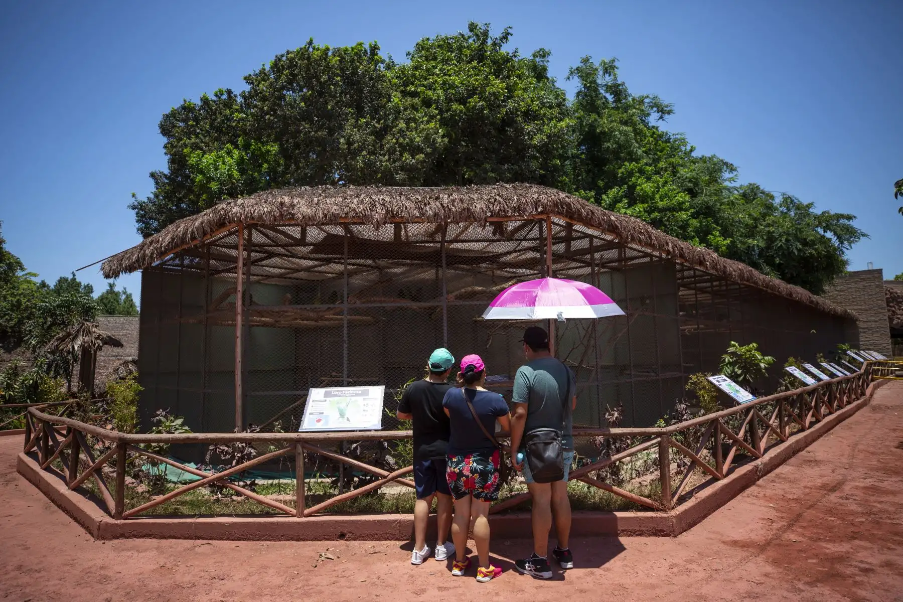 El Parque de las Leyendas vuelve a abrir sus puertas este 1 de marzo. El recinto funcionará con un aforo al 30% y la atención será de lunes a sábado, de 9 a.m. a 5 p.m. Se contará con todos los protocolos de bioseguridad. 
Foto: Municipalidad de Lima