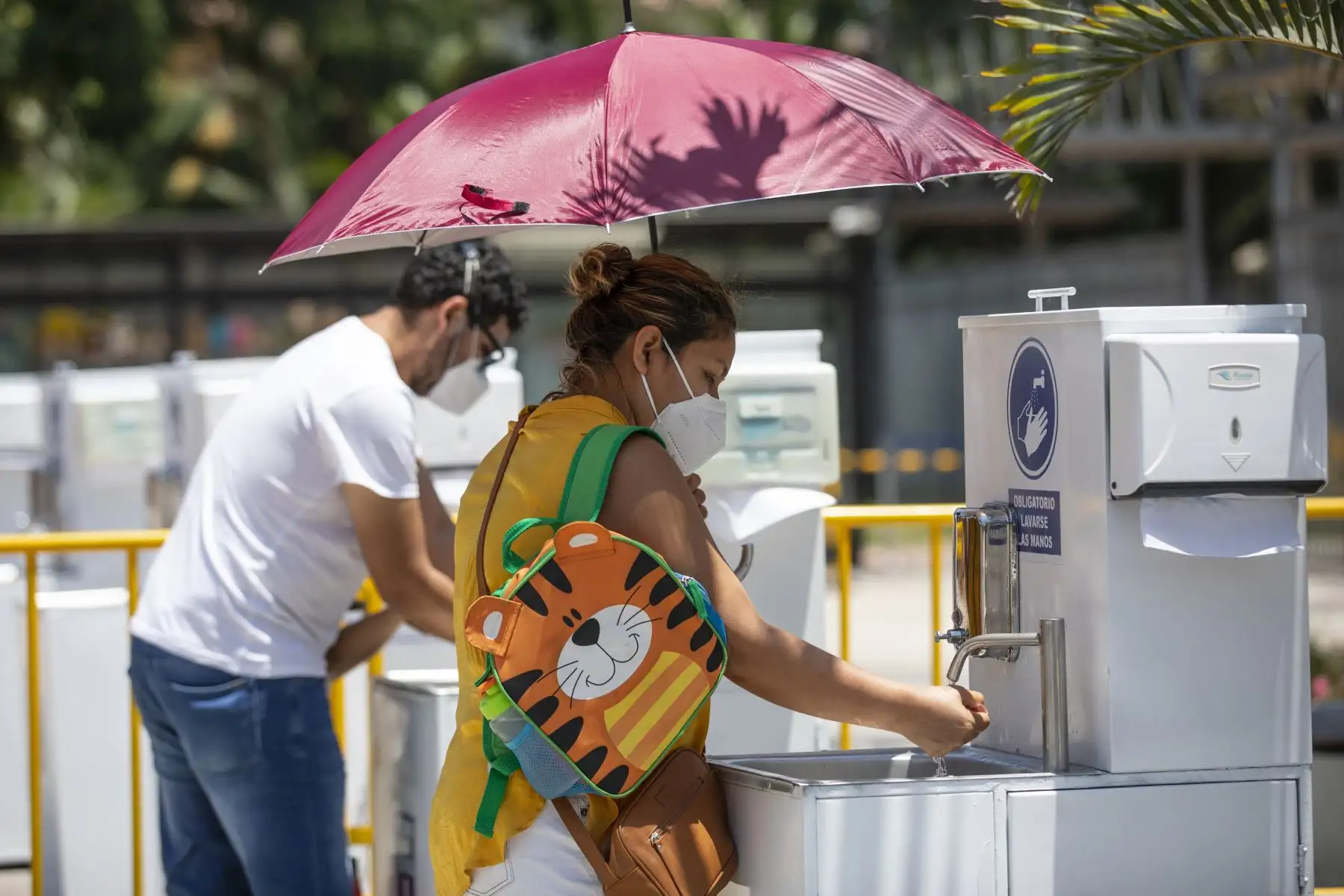 El Parque de las Leyendas vuelve a abrir sus puertas este 1 de marzo. El recinto funcionará con un aforo al 30% y la atención será de lunes a sábado, de 9 a.m. a 5 p.m. Se contará con todos los protocolos de bioseguridad. 
Foto: Municipalidad de Lima