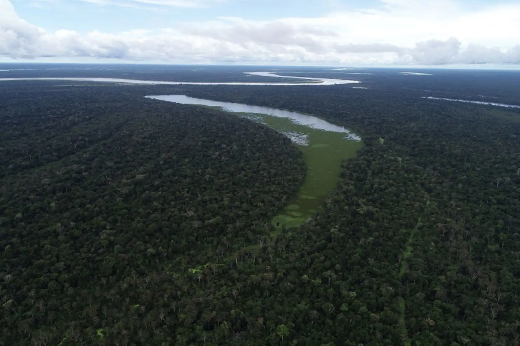 Desde el 15 de febrero, a consecuencia de las intensas lluvias se produjo el incremento del caudal y posterior desborde del río Ucayali. Foto: ANDINA/Difusión