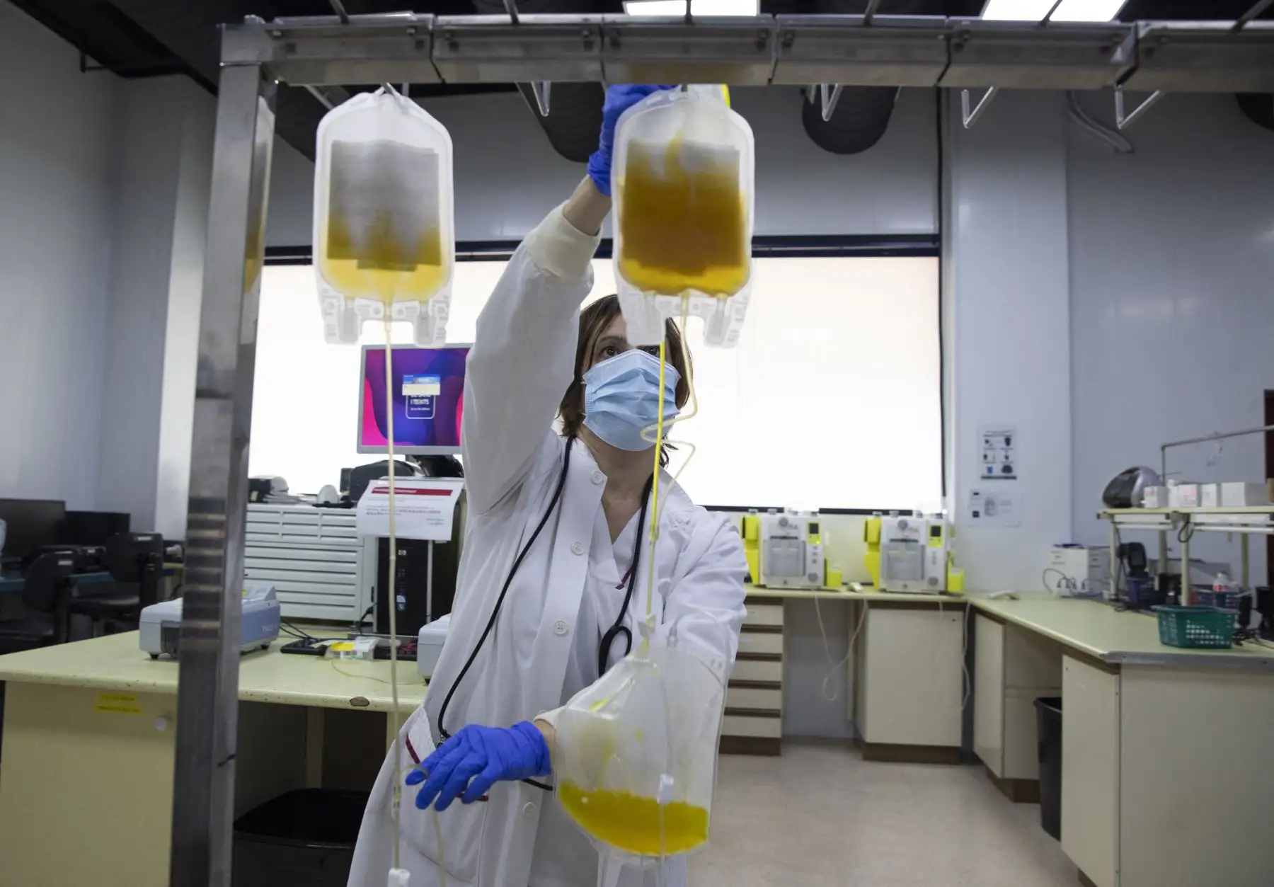 El llamado plasma de convaleciente es la parte líquida de la sangre de un paciente curado que concentra los anticuerpos producidos para enfrentar el virus tras la infección. Foto: AFP
