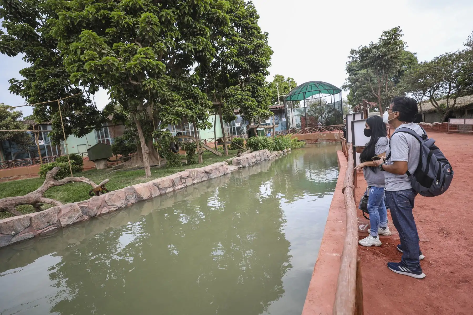 Parque de las Leyendas de Lima reabrió sus instalaciones con un aforo de hasta el 30% de su capacidad tras el levantamiento de la cuarentena. Foto: ANDINA/Municipalidad de Lima