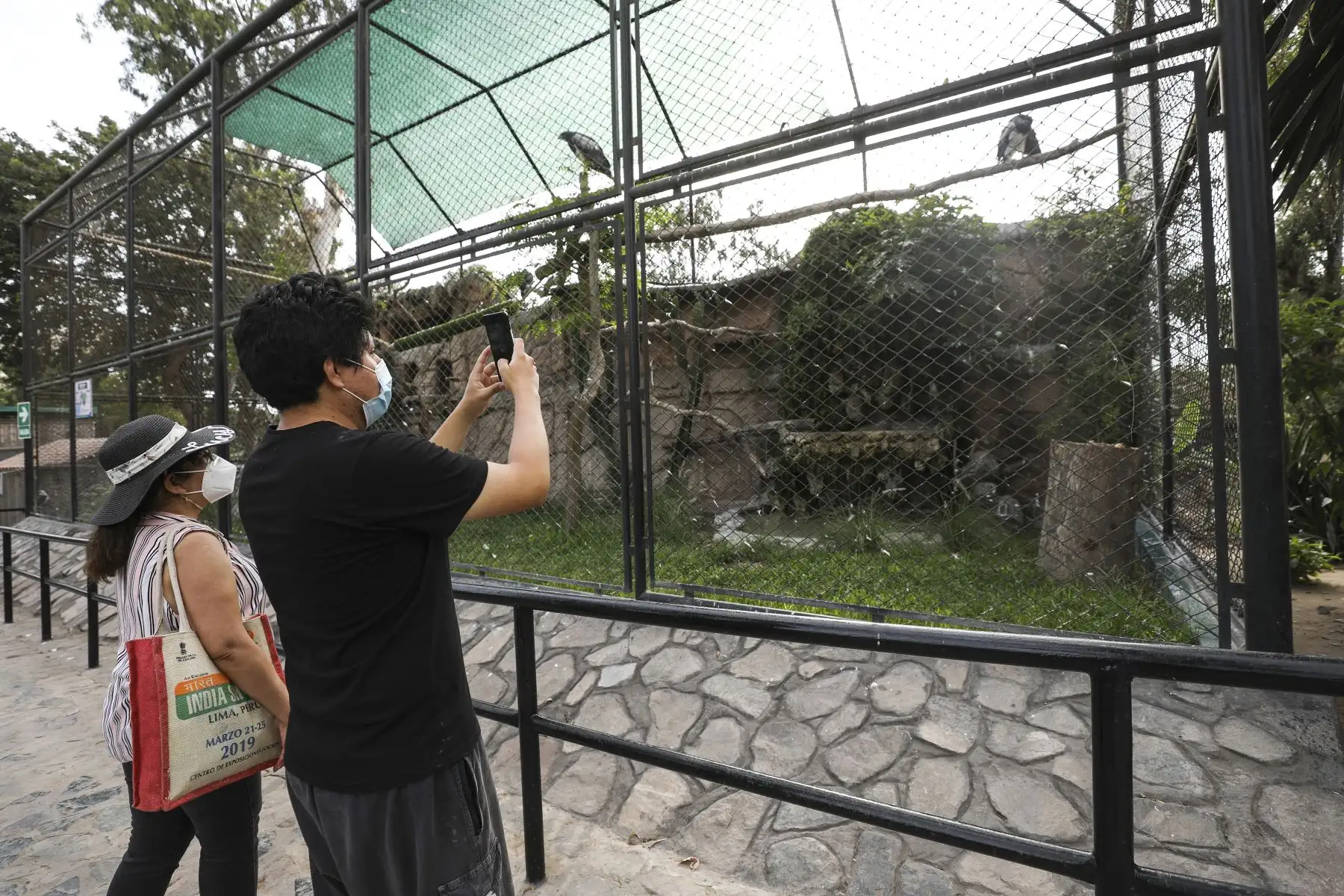 Parque de las Leyendas de Lima reabrió sus instalaciones con un aforo de hasta el 30% de su capacidad tras el levantamiento de la cuarentena. Foto: ANDINA/Municipalidad de Lima