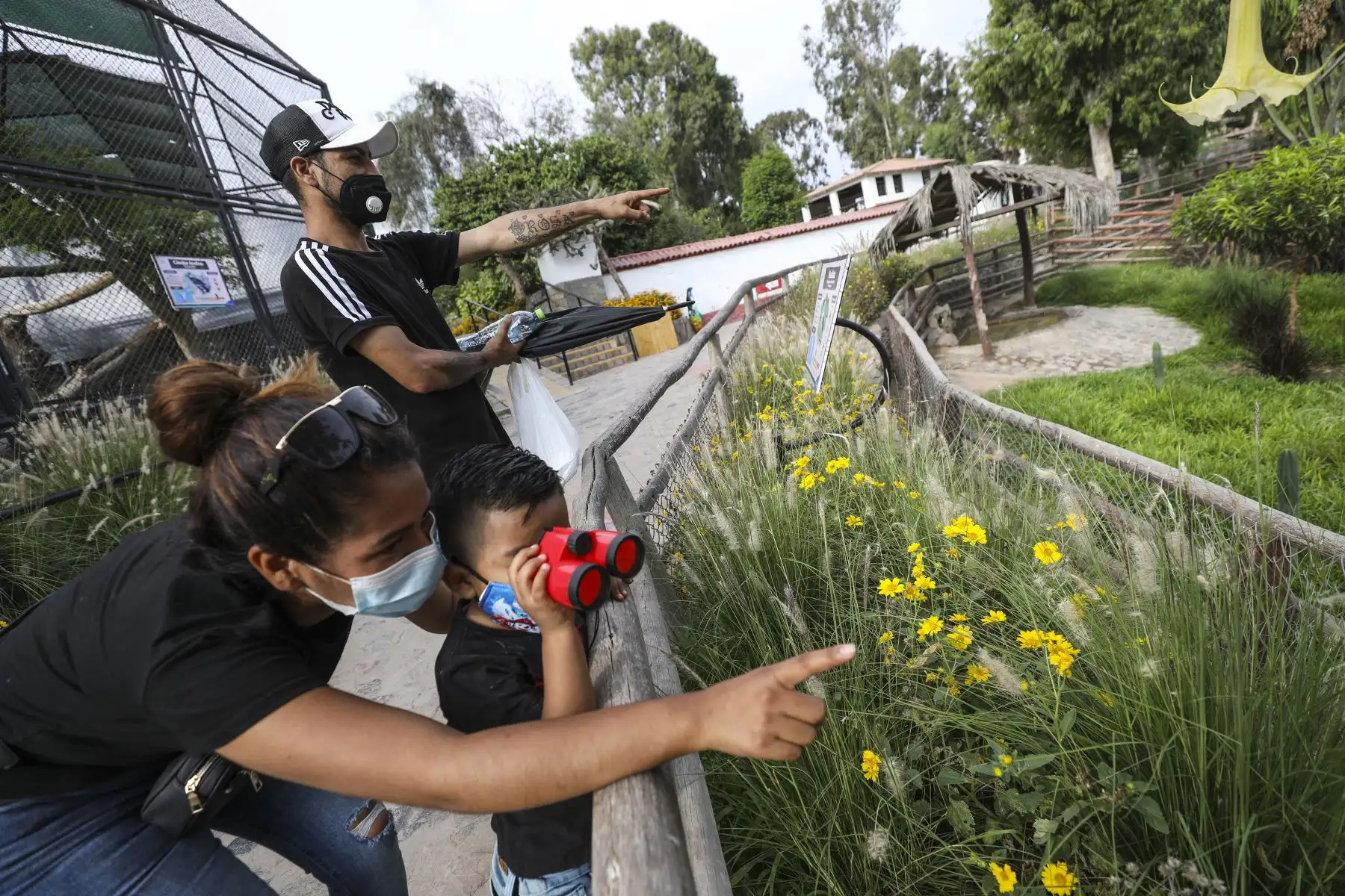 Parque de las Leyendas de Lima reabrió sus instalaciones con un aforo de hasta el 30% de su capacidad tras el levantamiento de la cuarentena. Foto: ANDINA/Municipalidad de Lima
