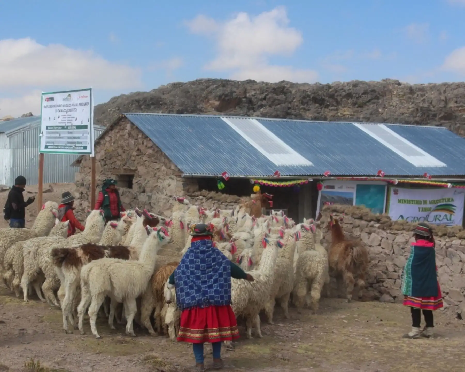 Agro Rural construye en Huancavelica 275 cobertizos para proteger al ganado ante la próxima temporada de bajas temperaturas y heladas. Foto: ANDINA/difusión.