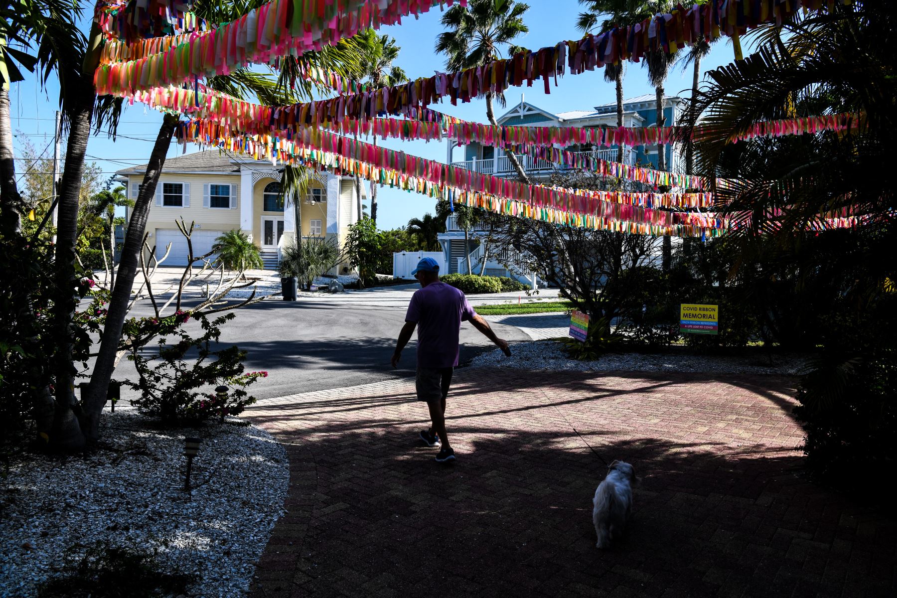 Cintas que representan a las víctimas de Covid-19 cuelgan en la casa de Cathy Tobias mientras una persona paseaba a su perro, en Anna Maria Island, Florida. Foto: AFP
