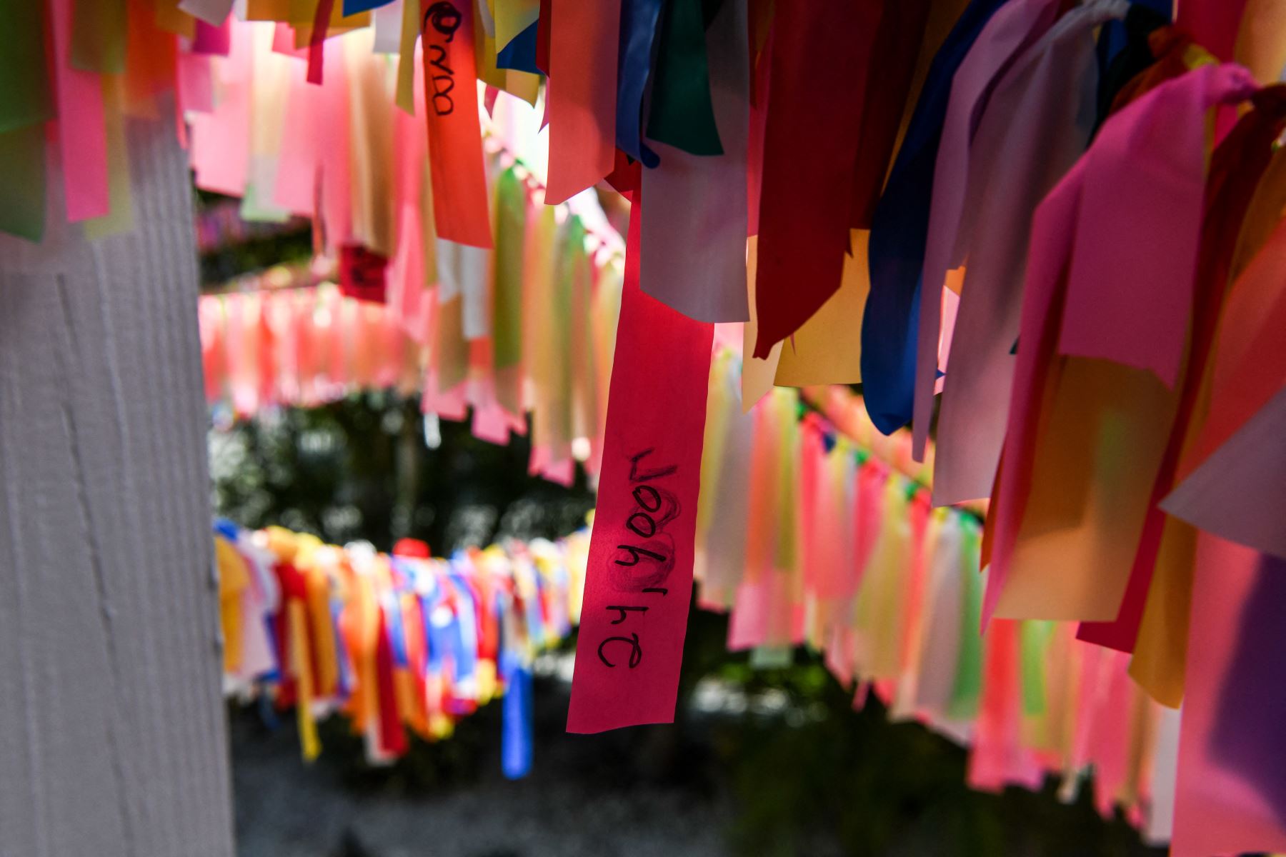 Las cintas cuelgan en el patio de Cathy Tobias, que se ha convertido en un monumento a las víctimas de Covid-19. Ahora hay más de 30.000 cintas, en todos los colores. Foto: AFP