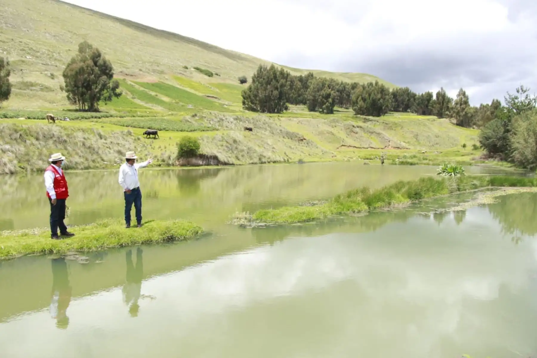 Ante la presencia de fenómenos naturales como las heladas, lluvias y otros es necesario implementar sistemas de cosecha de agua para captar la mayor cantidad de recurso hídrico. Foto: ANDINA/Difusión