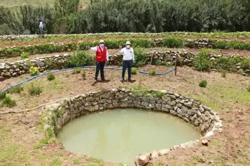 Ante la presencia de fenómenos naturales como las heladas, lluvias y otros es necesario implementar sistemas de cosecha de agua para captar la mayor cantidad de recurso hídrico. Foto: ANDINA/Difusión