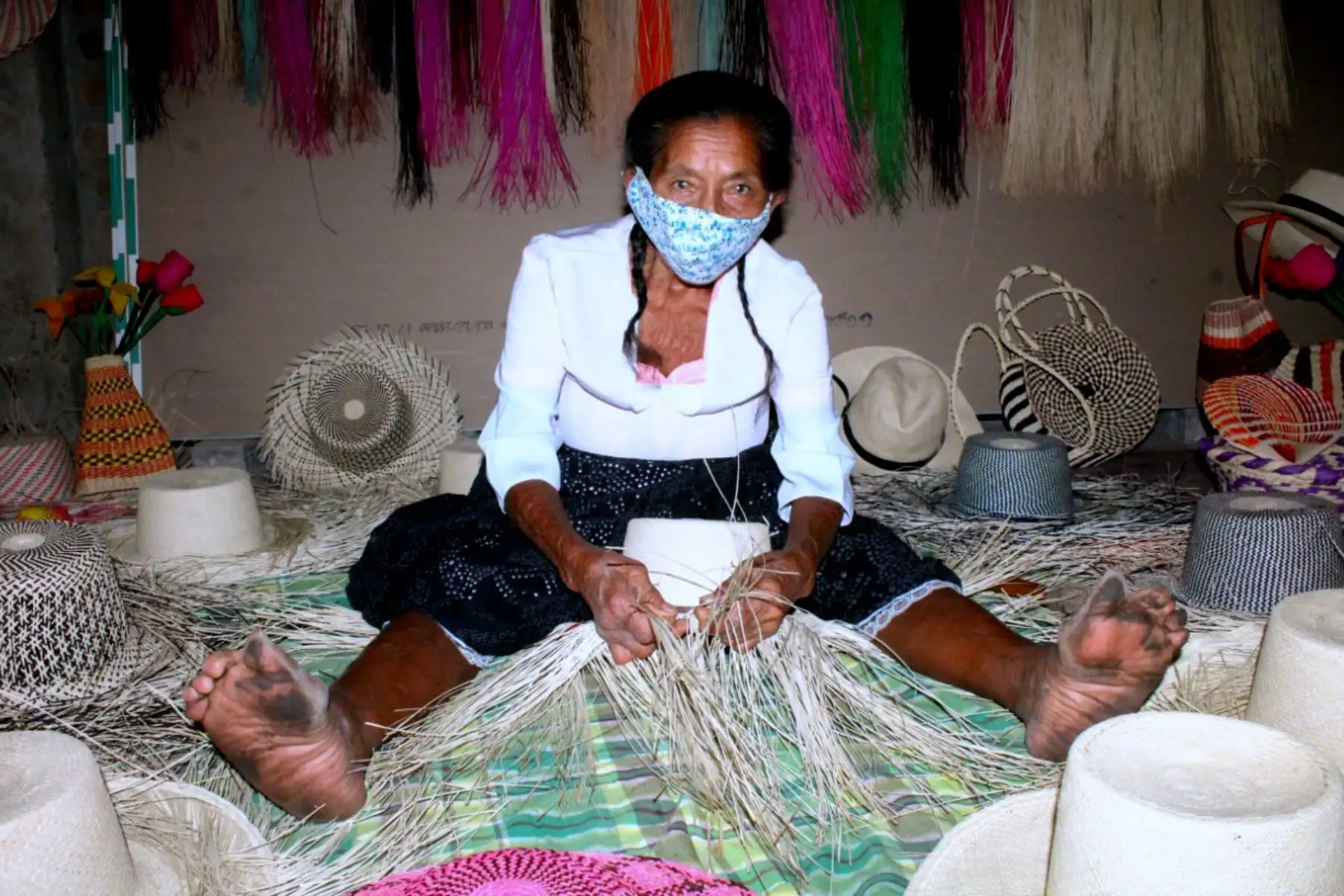 María Felipa Villegas Sandoval es piurana y maestra en el arte de la fabricación de los conocidos sombreros de paja toquilla, que elabora a mano en el pueblo de Pedregal Grande, en Catacaos.
Foto: Pensión 65/ Midis