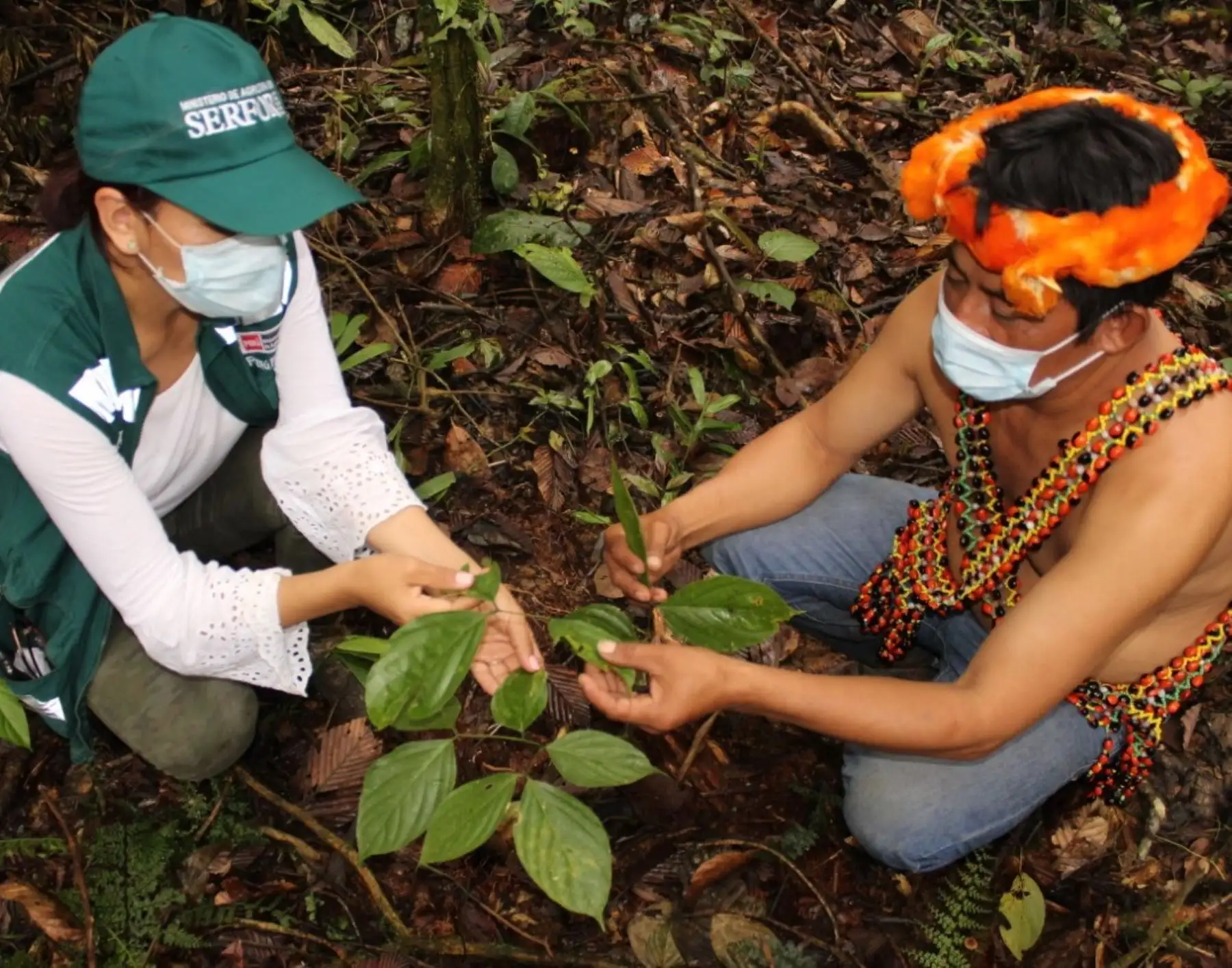 Serfor reconoce el aporte de las comunidades en la conservación del bosque y especies silvestres.