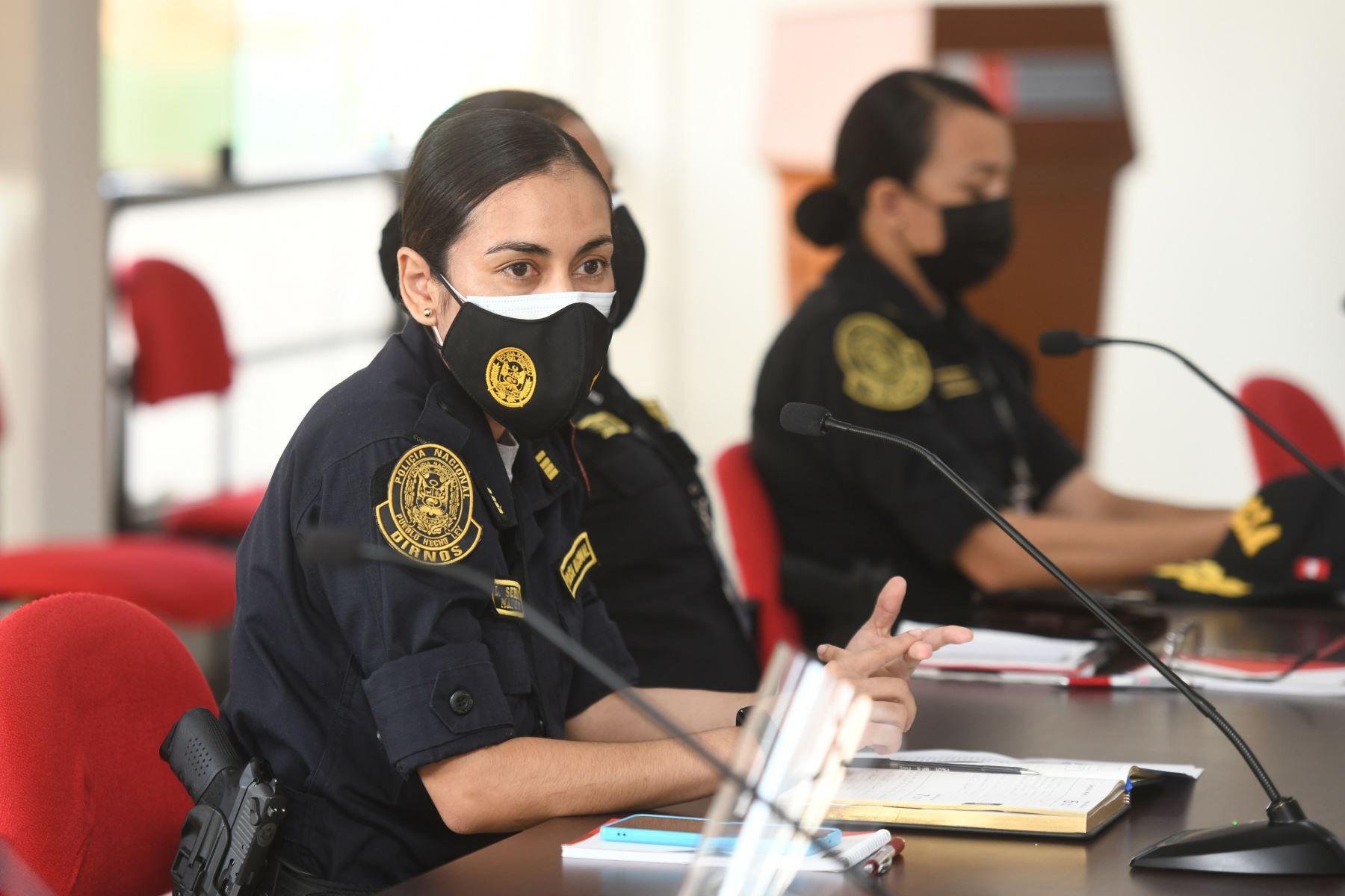 Día de la Mujer Policía: ministerios saludan a agentes policiales femeninas