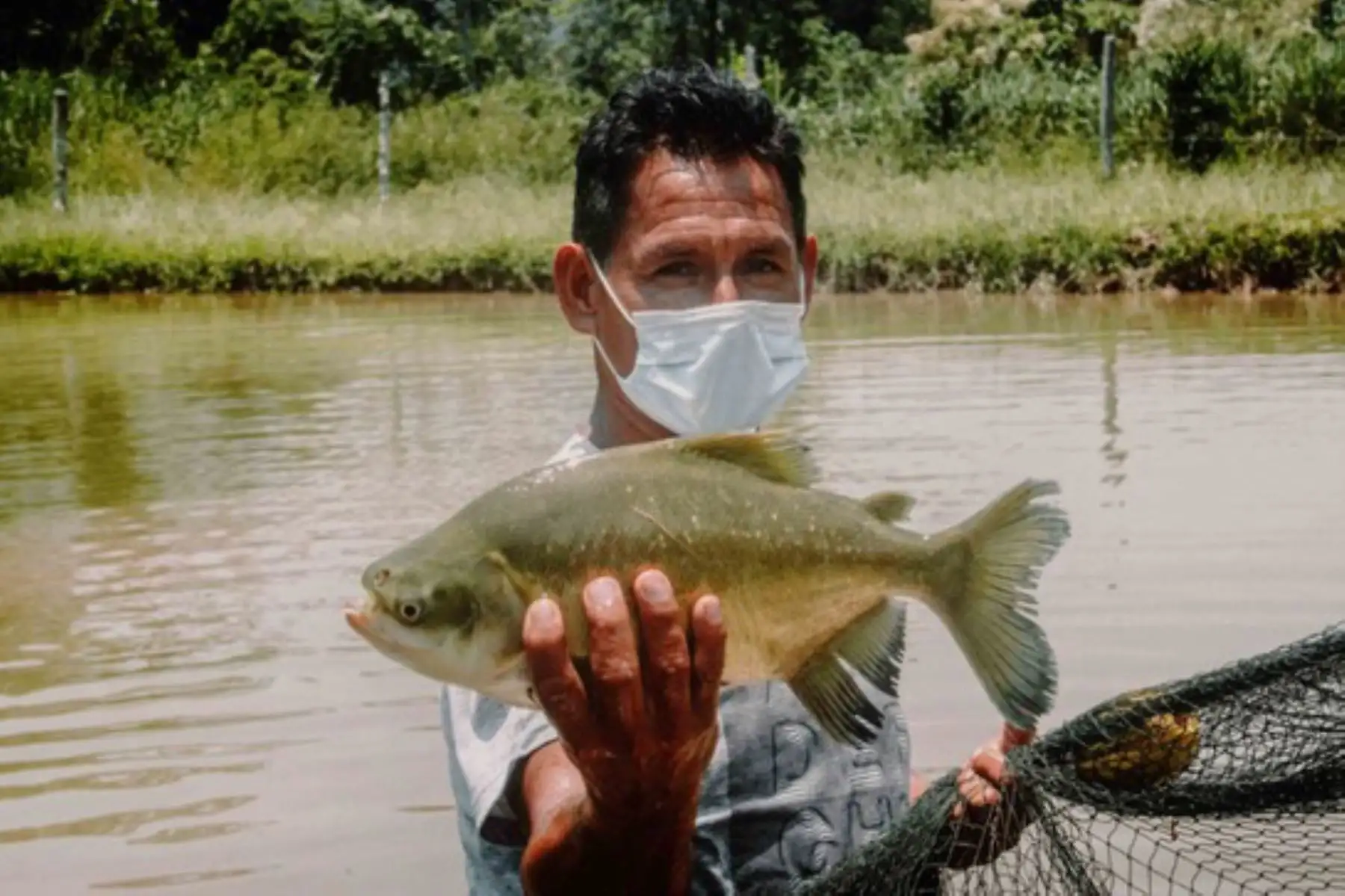 Foto: ANDINA/Difusión.