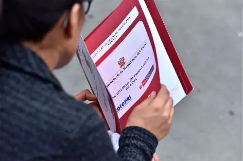 Del 15 al 19 de marzo se realizará talleres de fortalecimiento de capacidades a municipalidades provinciales para formalizar a más predios y así garantizar el derecho a la vivienda de familias peruanas en el marco de la Ley 31056 y su reglamento. Foto: ANDINA/Cofopri