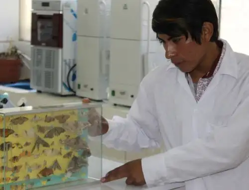 Víctimas del periodo de violencia 1980-2000 de Huancavelica podrán acceder a becas de estudio que otorgará la Universidad para el Desarrollo Andino de Lircay. ANDINA/Difusión