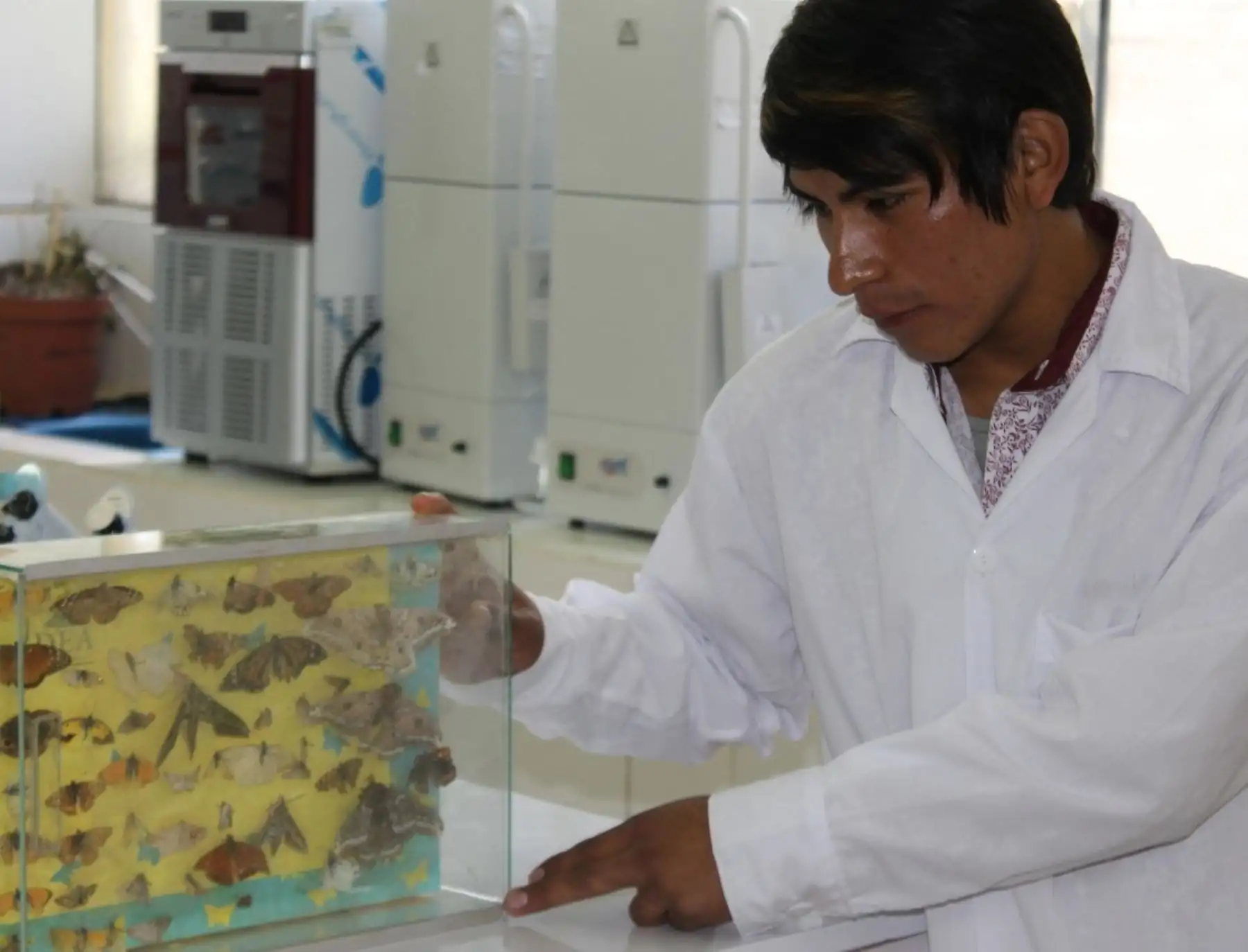 Víctimas del periodo de violencia 1980-2000 de Huancavelica podrán acceder a becas de estudio que otorgará la Universidad para el Desarrollo Andino de Lircay. ANDINA/Difusión