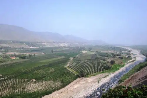 El cambio de tipo de zonificación a comercio zonal, así como el incremento de los parámetros de ocupación de uso del suelo y de densidad habitacional, generarán un impacto en los ecosistemas de la estructura ecológica de Lima Metropolitana, especialmente en el valle y su zona litoral. Foto: ANDINA/Minam