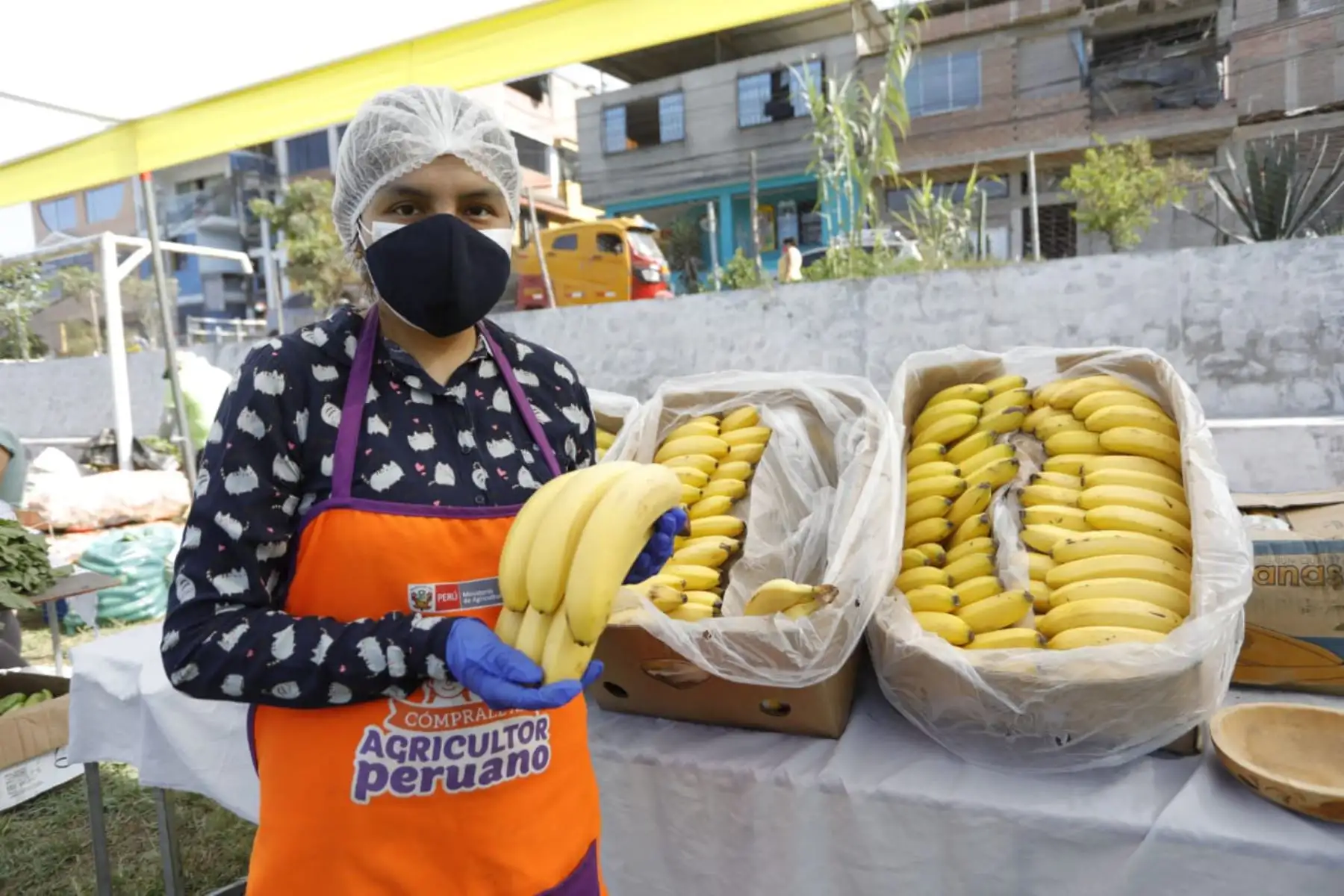 Ministerio de Agricultura pone en marcha un nuevo Mercado  “ De la Chacra a la Olla 2021 ” donde se venderán muy buenos productos de la Agricultura Familiar a bajos precios, en el estadio Sarita Colonia de San Juan de Miraflores.
Foto: Midagri
