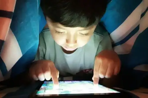 Niños pasan más horas delante de la computadora o el celular y usan las consolas con mayor frecuencia que antes. Foto: ANDINA/difusión.