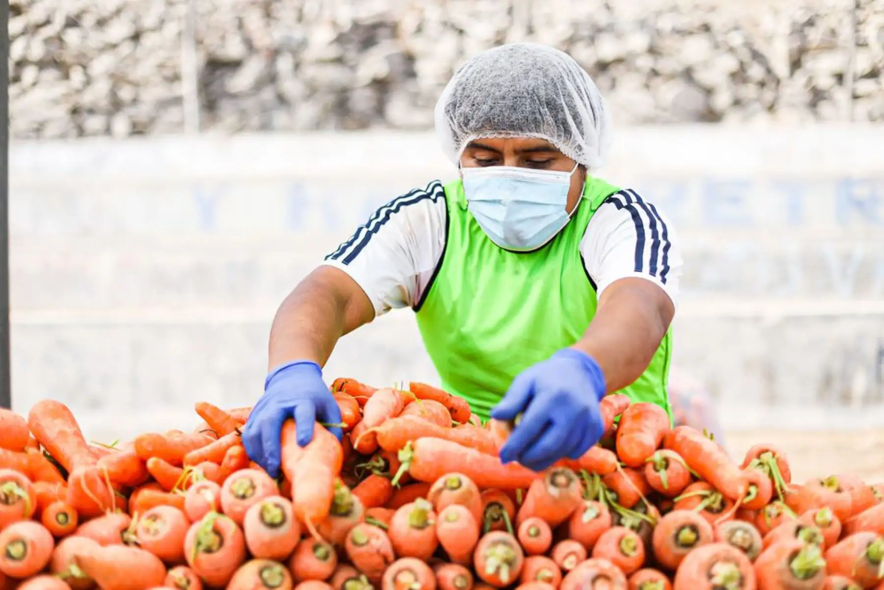 Ministerio de Agricultura pone en marcha un nuevo Mercado  “ De la Chacra a la Olla 2021 ” donde se venderán muy buenos productos de la Agricultura Familiar a bajos precios, en el estadio Sarita Colonia de San Juan de Miraflores.
Foto: Midis