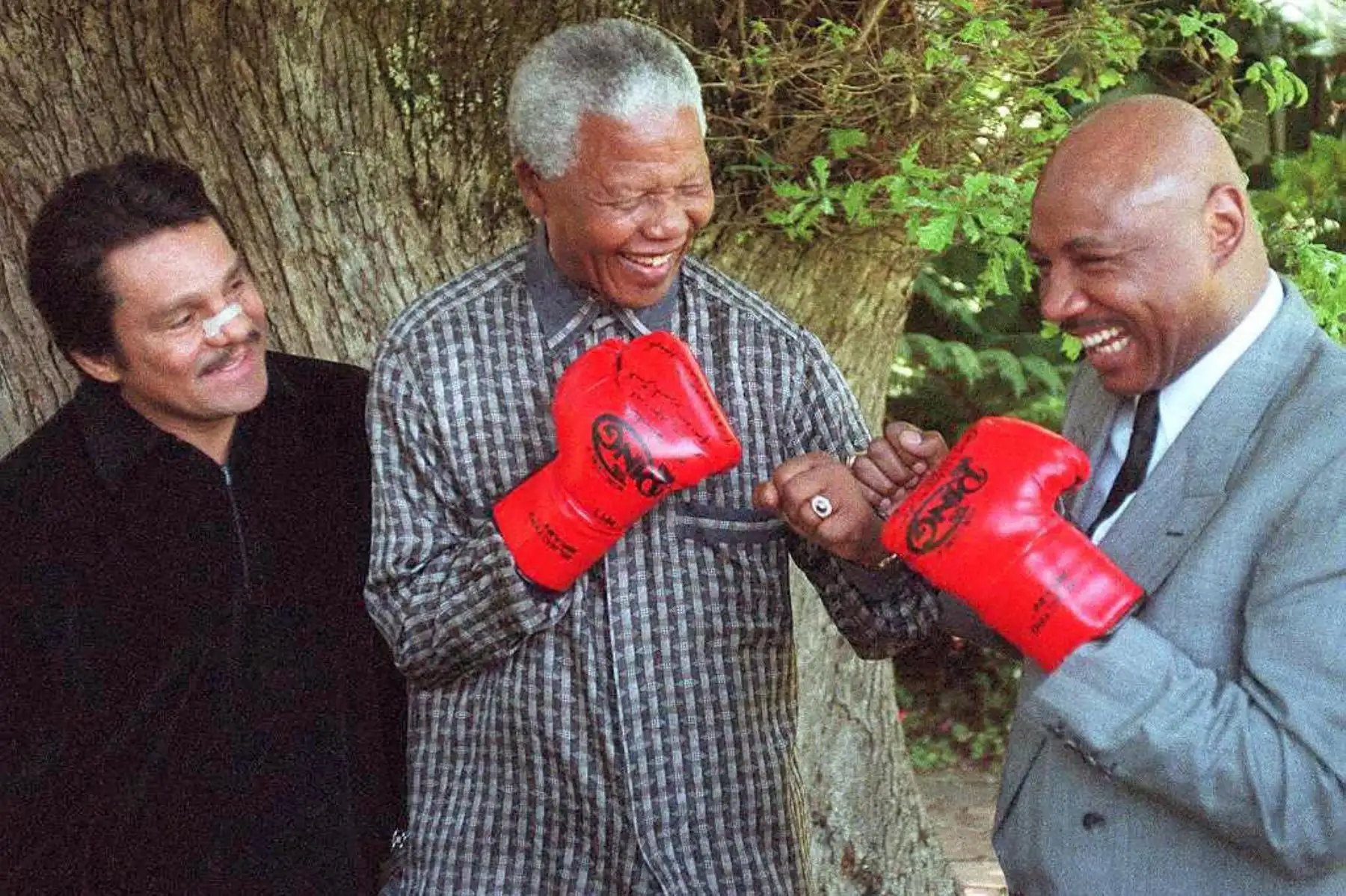 El presidente sudafricano Nelson Mandela finge pelear contra el ex campeón mundial de peso mediano de Estados Unidos Marvin Hagler en el jardín de su residencia Genadendal en Ciudad del Cabo como el ex cinco veces campeón mundial Roberto "Hands of Stone" Duran (L) de los Estados Unidos mira. Hagler entregó los guantes al presidente antes de que el trío almorzara el 12 de noviembre. Duran peleará contra Hagler.
Foto:AFP