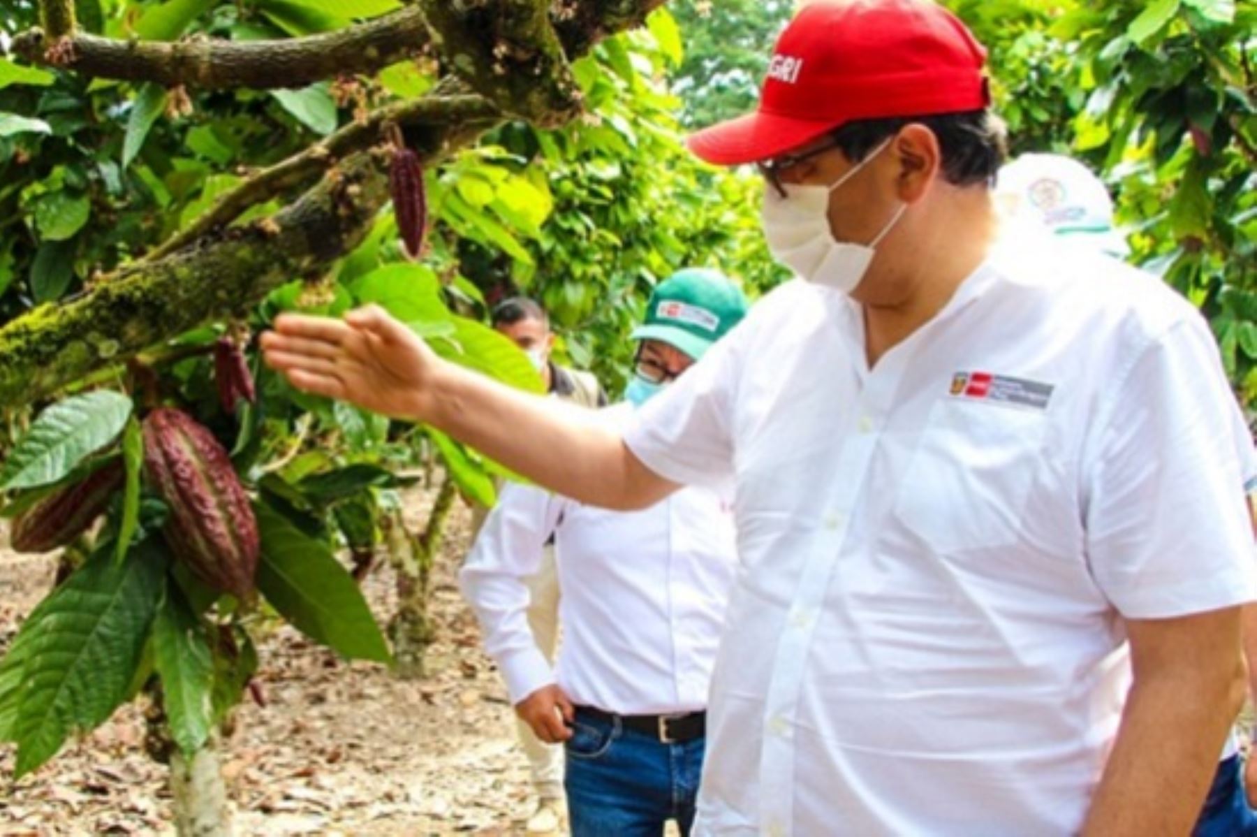 Ministro de Desarrollo Agrario y Riego, Federico Tenorio, en gira de trabajo en la región San Martín. Foto: Cortesía.