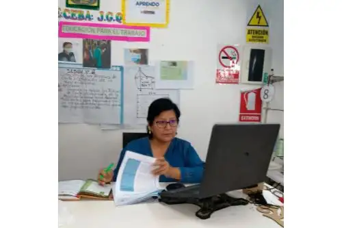 Docentes requieren espacios de diálogo para mitigar el estrés por la pandemia de covid-19. Foto: ANDINA/Difusión