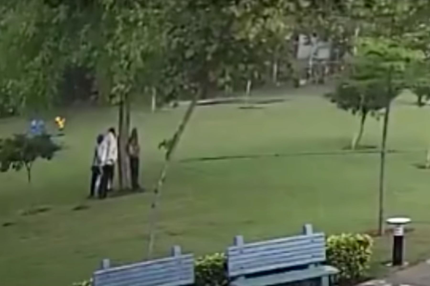 En redes sociales circuló un video del momento exacto en que el rayo los impacta. En la secuencia se ve cuando los tres jardineros y el supervisor estaban bajo el árbol, mientras a su alrededor llovía. Foto: Captura de pantalla