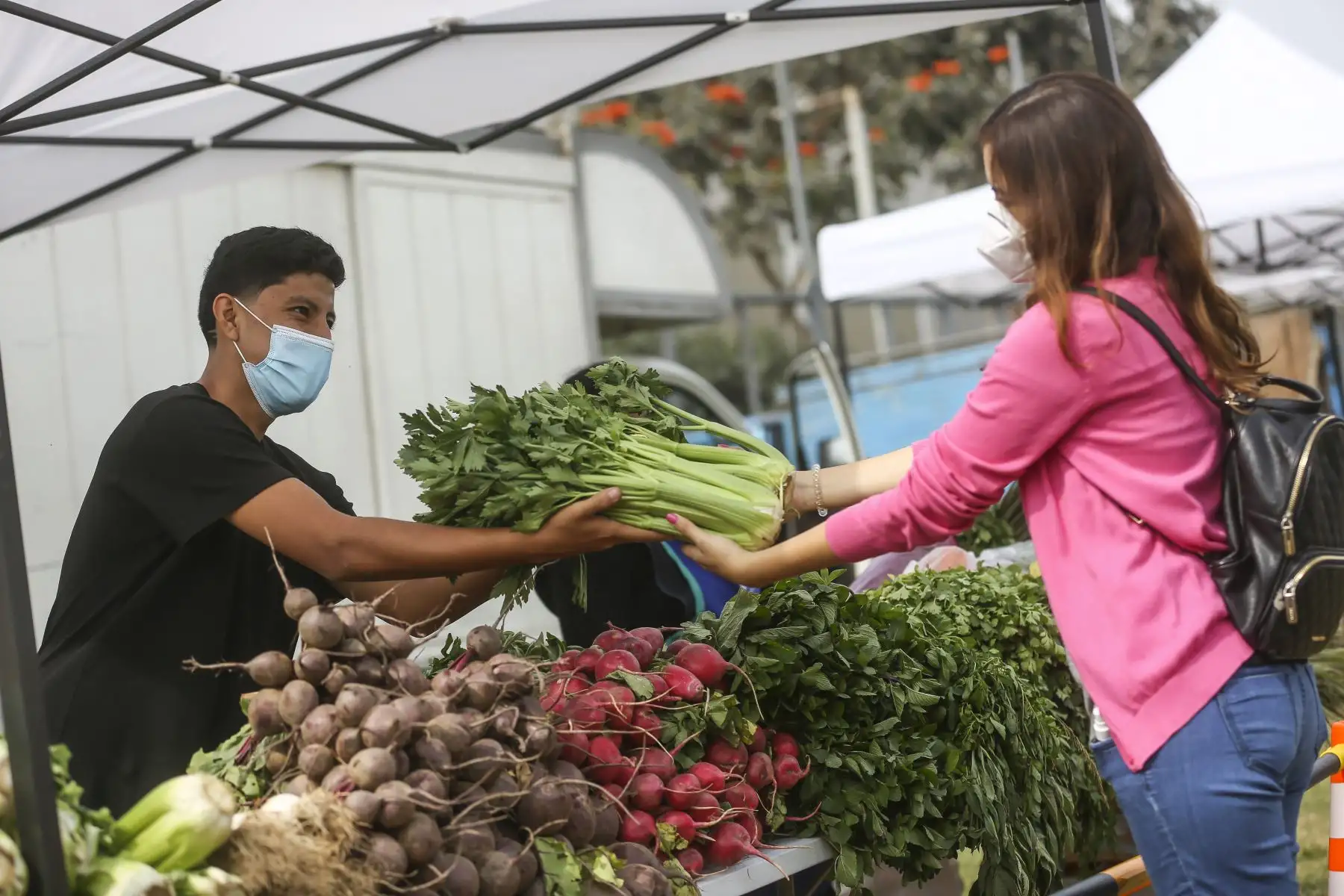 El Ejecutivo ha indicado que sí estará permitido un grupo reducido de actividades comerciales esenciales. Foto: ANDINA/difusión.