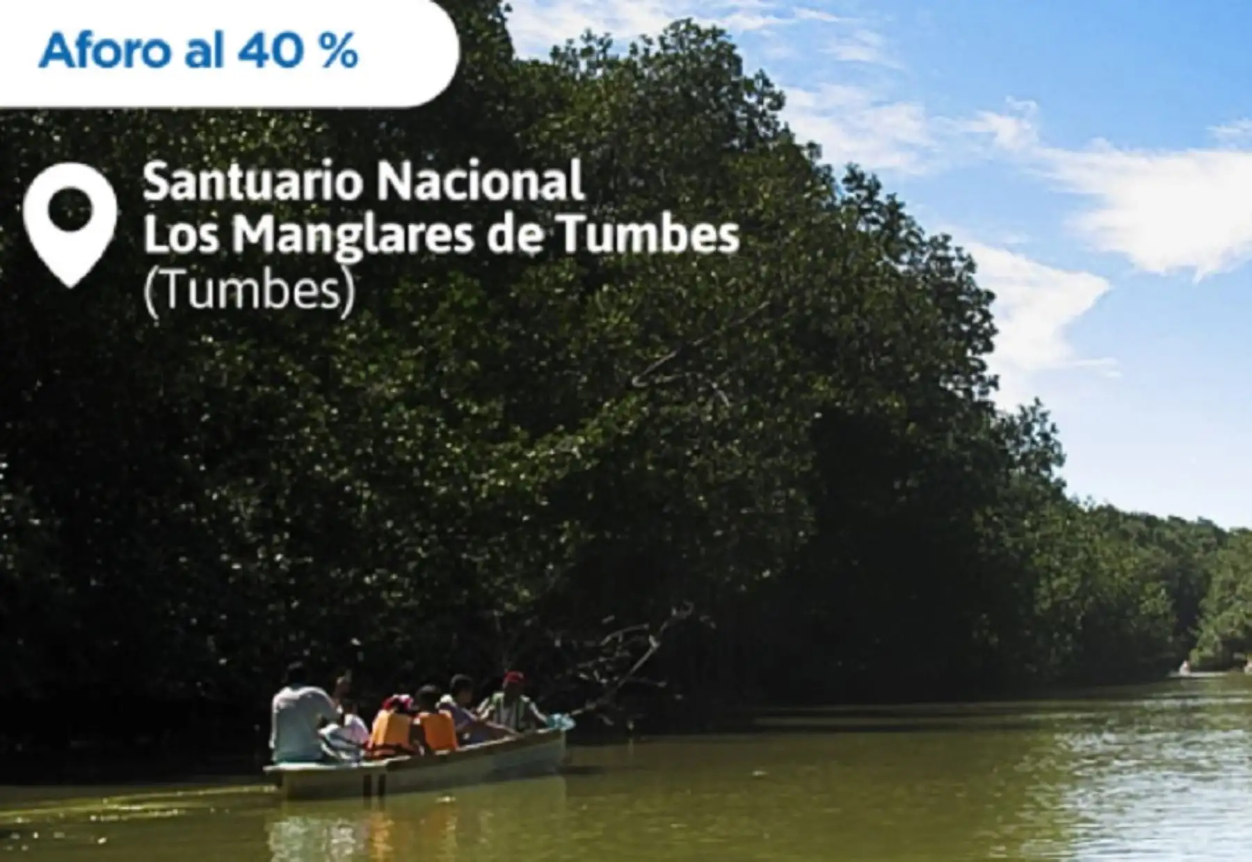Santuario Nacional Los Manglares de Tumbes. Foto: Sernanp