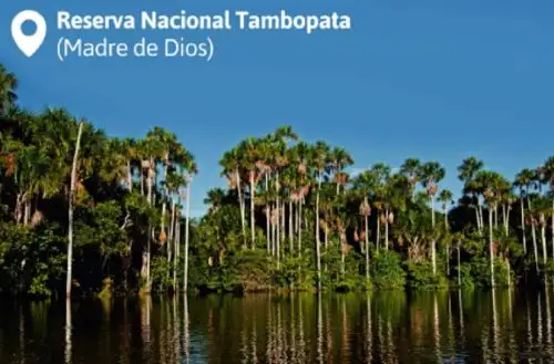 ANDINA/Difusión