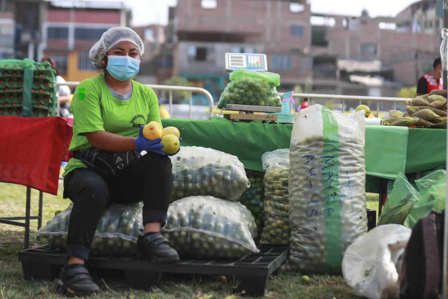 Los Mercados De la Chacra a la Olla favorecen la reactivación económica de los productores y contribuyen a un ahorro para la canasta básica familiar. Además, cumplen de forma estricta los protocolos de bioseguridad contra el covid-19. Foto:ANDINA/Carla Patiño