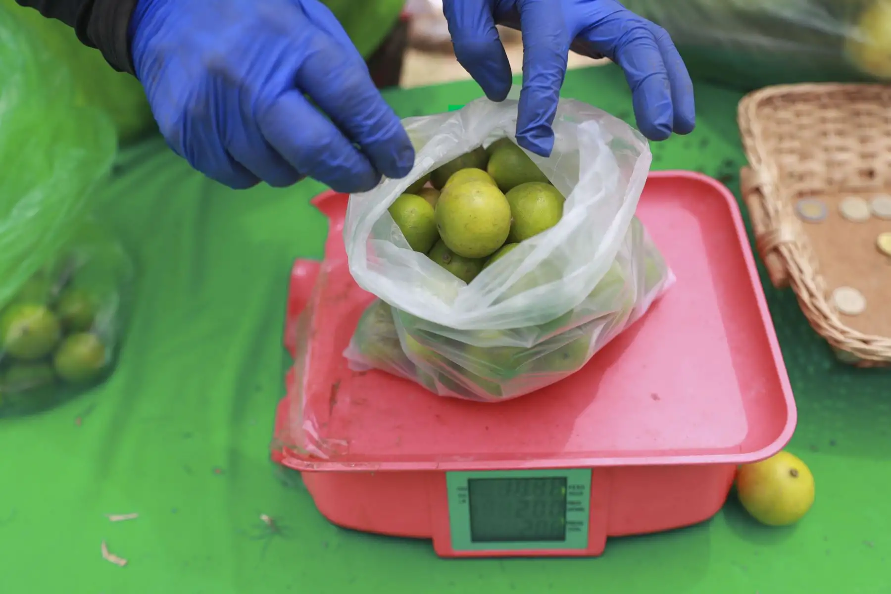 Mayra Huayanga tiene 19 años y es productora de limón y frutas del Fundo Guadalupe de Lambayeque, ha participado en más de 100 mercados De La Chacra a la Olla durante la pandemia. Foto: ANDINA/Carla Patiño